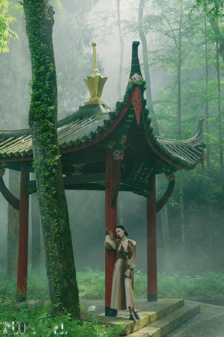 探索为什么人会得撞灵魂?,解锁知识的星际之旅