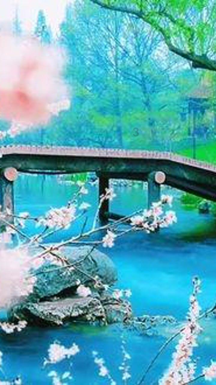 在航旅纵横预约值机能帮他人值机吗游戏画面